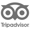 Trip Advisor 